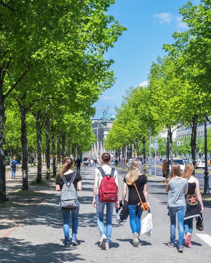People walking through Berlin's Tiergarten on a bright summer day, with vibrant greenery surrounding.