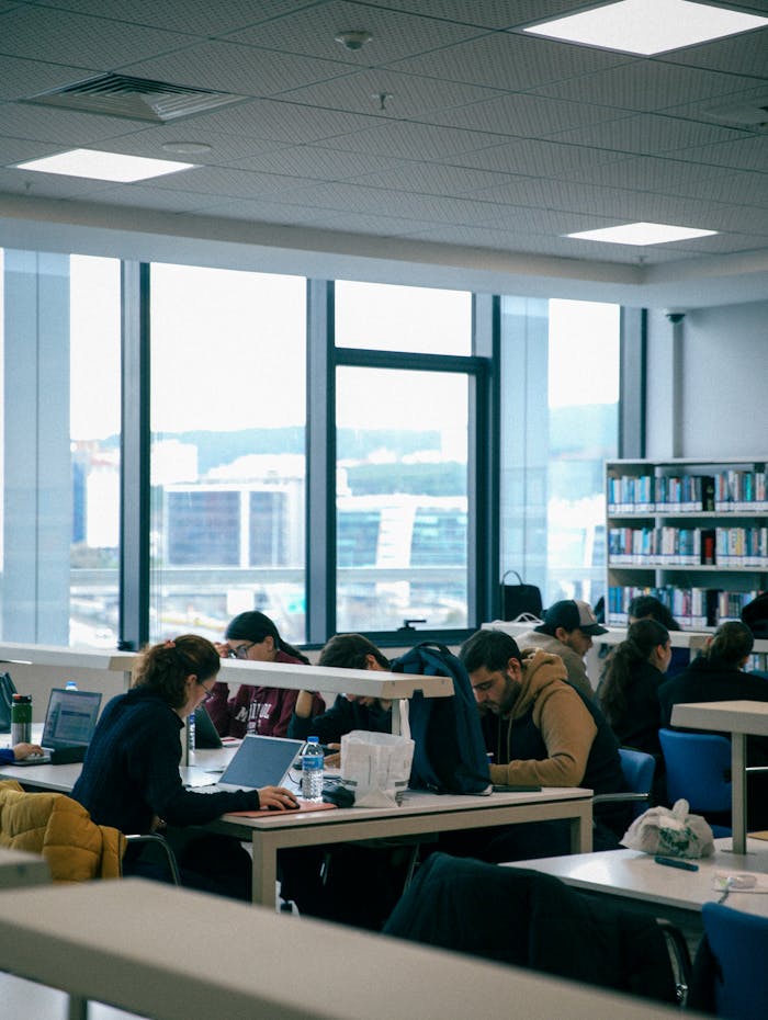A group of students focused on studying in a well-lit modern library setting.